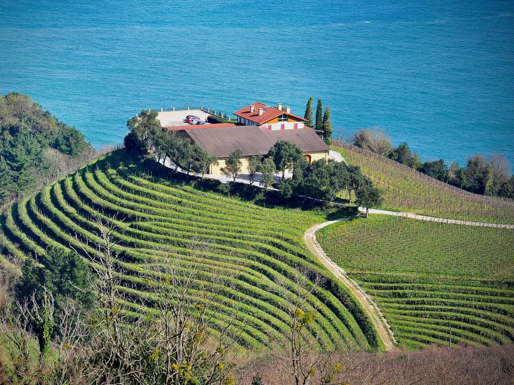 Bodega-Txomin-Etxaniz