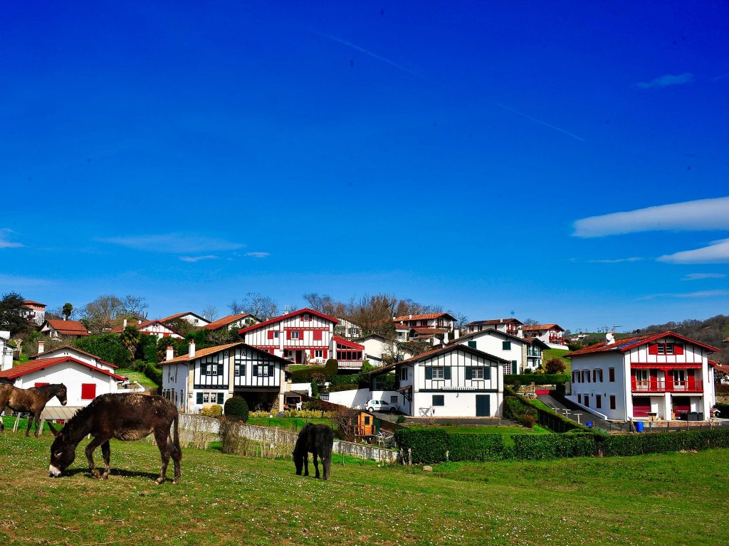 Casas-y-burros-en-Sare