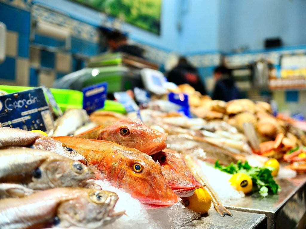 4.-Pescaderia